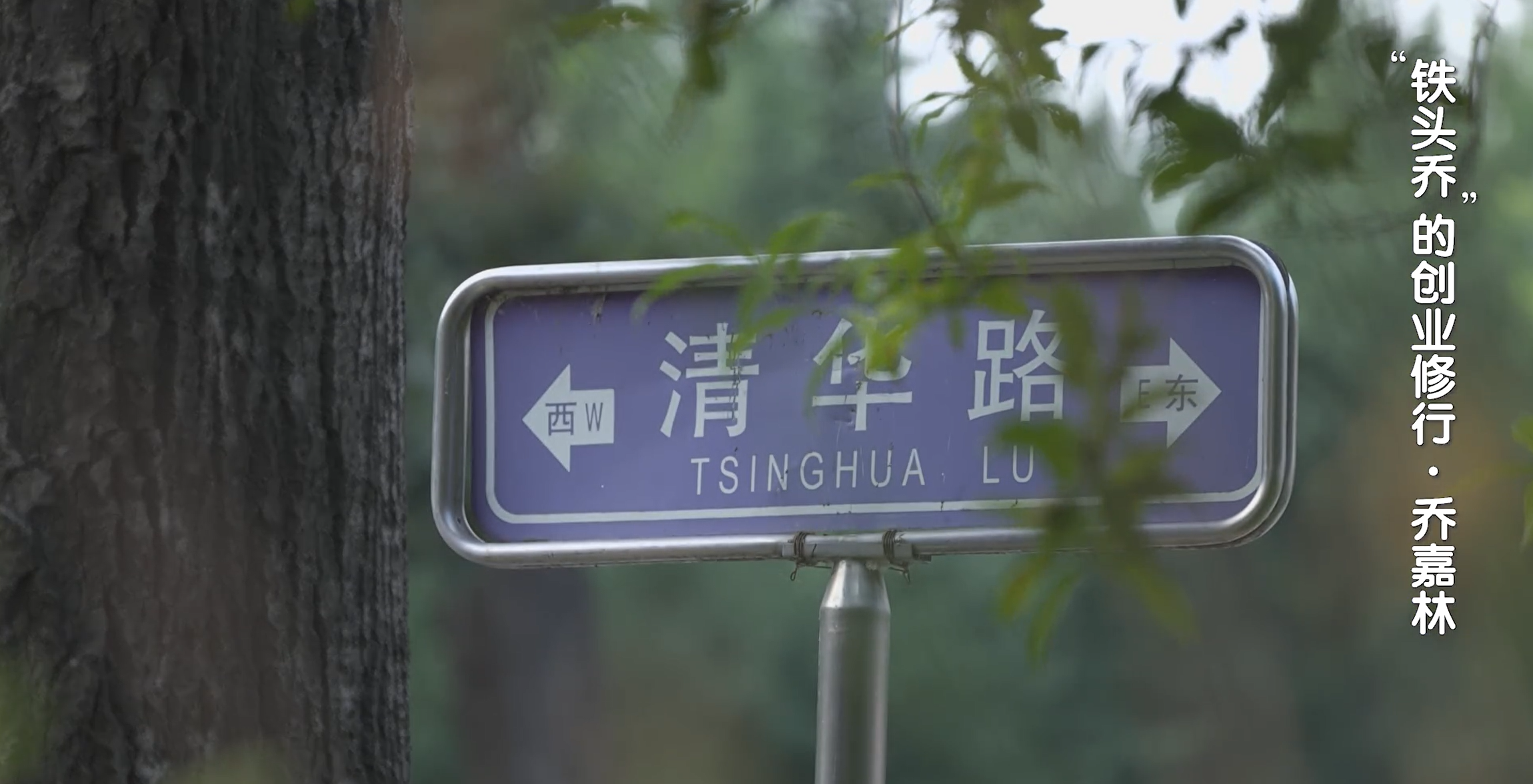 乔老师北京卫视节目回顾图15-20250818.png